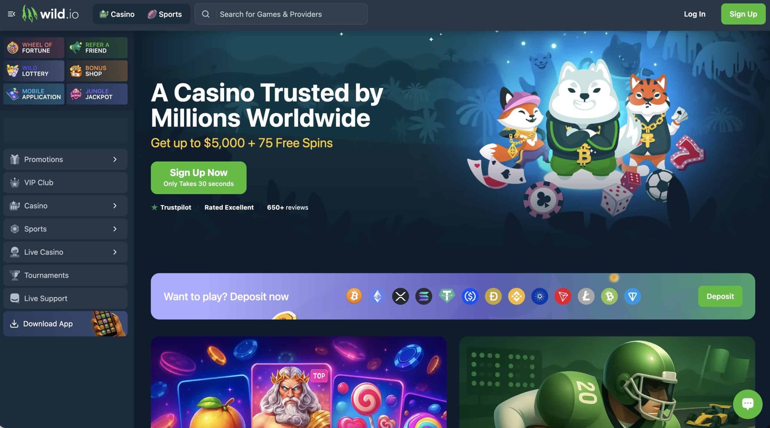 Wild.io USDT Casino Site